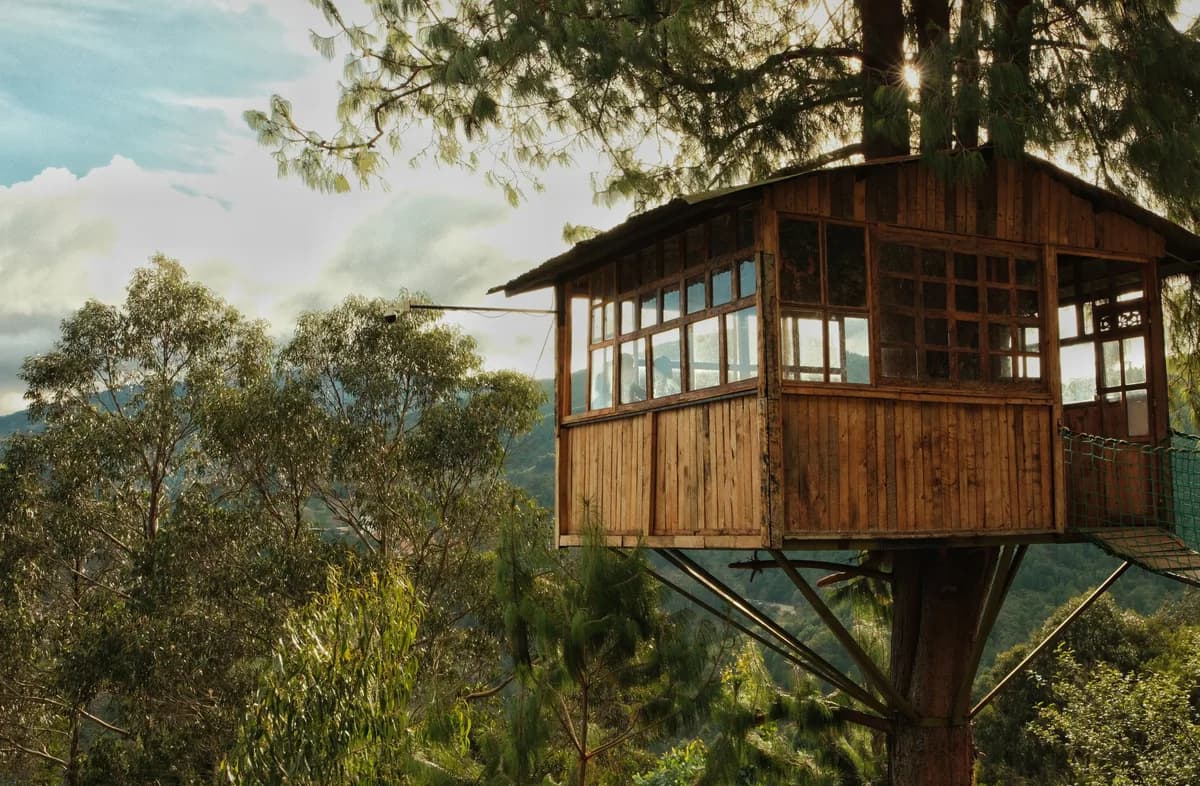 Exemple d'image BookNoFees : cabane en bois avec une baie vitrée dans la cime d'un arbre