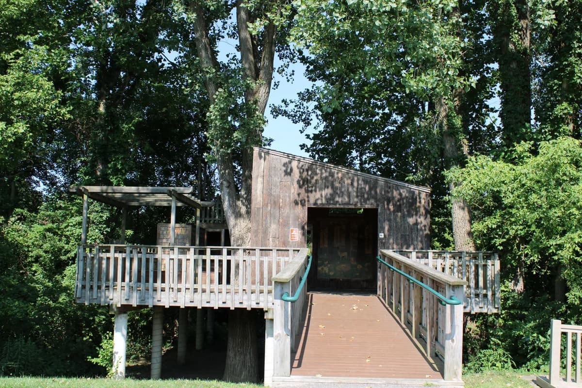 Exemple d'image BookNoFees : cabane en bois entre des troncs d'arbres, avec une passerelle en bois et un jardin verdoyant