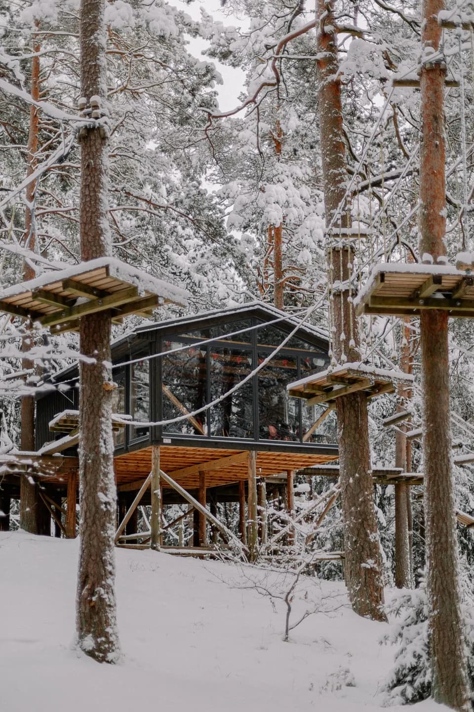Exemple d'image BookNoFees : cabane dans les arbres vitrée dans une forêt enneigée