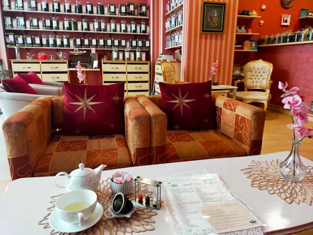 BookNoFees: Café – Small Tree - Salon de Thé – Belgrade – Small Tree – Teestube, Foto 2