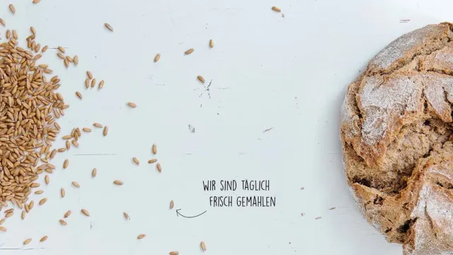 BookNoFees: Restaurant – Gradwohl – Vienna – Gradwohl, Foto 2
