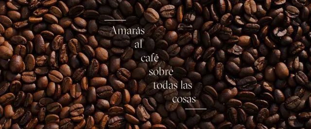 BookNoFees: Café – Religion - Specialty coffee – Madrid – Religion – Spezialitätenkaffee, Foto 3