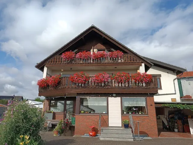 BookNoFees: Bei Steggers!, Marsberg