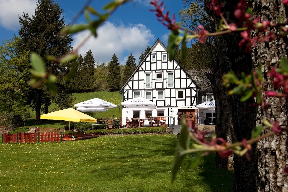 BookNoFees: Restaurant – Forellenhof Boshof – Bad Berleburg – Forellenhof Boshof, Foto 1