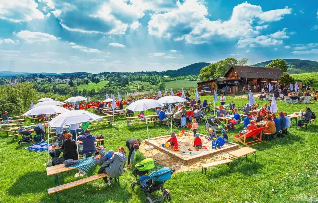 BookNoFees: Mayer am Nussberg, Vienna