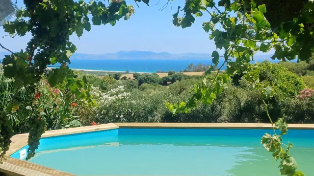 BookNoFees: Ferienwohnung in Tarifa – Pool mit Holzterrasse und Meerblick durch die Weinreben hindurch