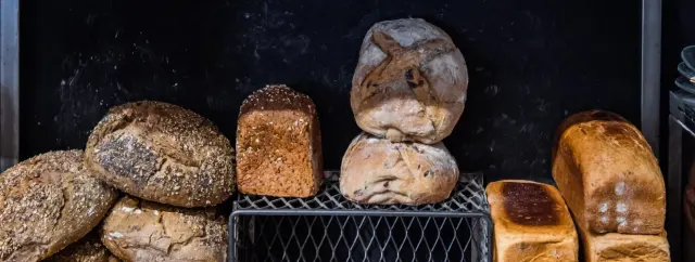BookNoFees: Bäckerei – Levaduramadre – Madrid – Mutterhefe, Foto 3