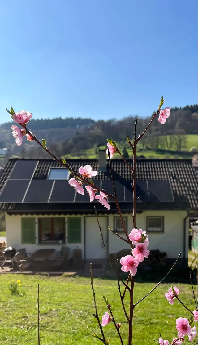 BookNoFees: Ferienwohnung in Allemühl – Ferienhäusel Allemühl - ein Haus für euch allein!