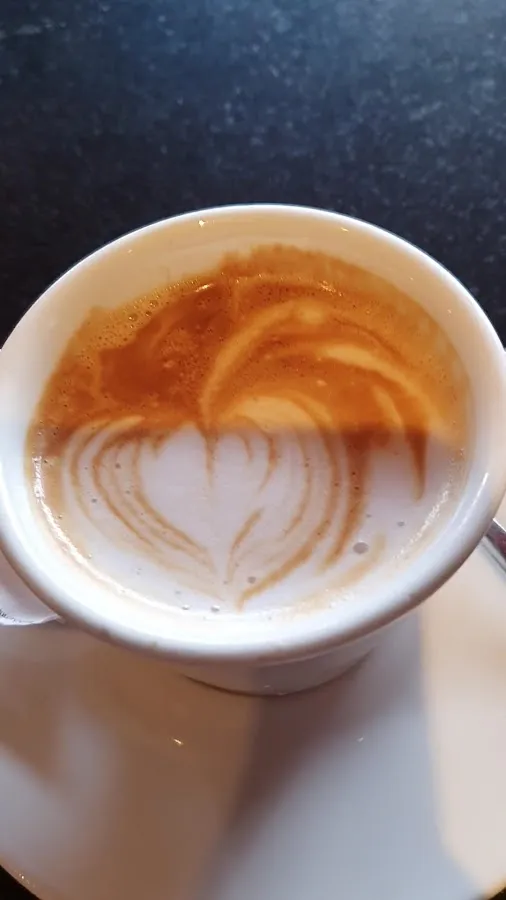 BookNoFees: Café – Bumerang – Zagreb – Bumerang, Foto 3