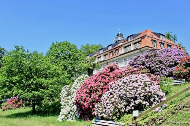 BookNoFees: casa vacanza a Dresden – Appartamento vacanze “Natura e Arte”, Dresda, Svizzera Sassone