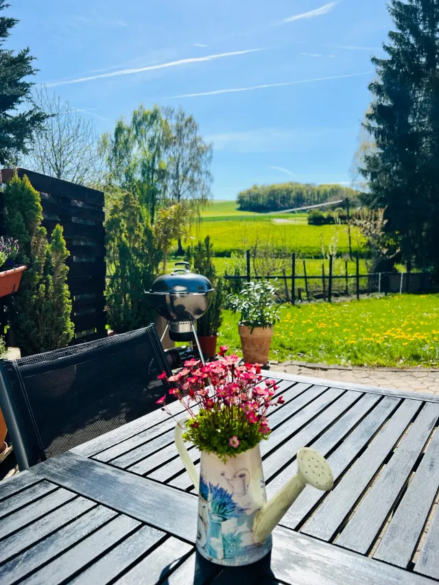 BookNoFees: casa vacanza a Halenbach, Renania-Palatinato, Germania – Terrazza con giardino, tavolo in legno, barbecue e vista su un prato rurale