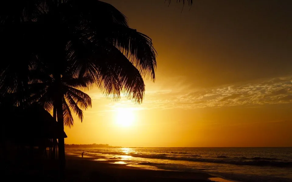 Palmen am Strand von Gambia bei Sonnenuntergang
